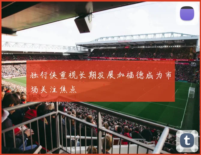 独行侠重视长期发展加福德成为市场关注焦点